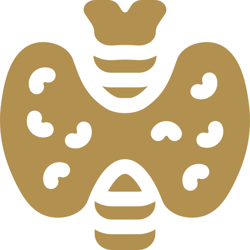 endocrine icon