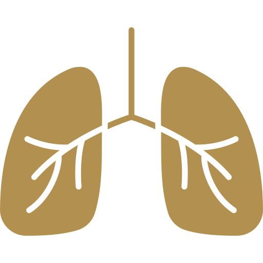 pulmonology icon